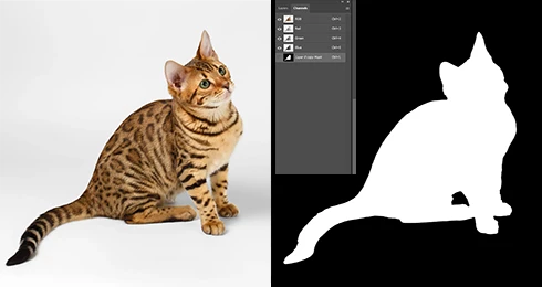 alpha channel masking